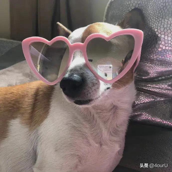 儿童爆笑笑话笑得肚子疼,儿童笑话视频爆笑肚子疼