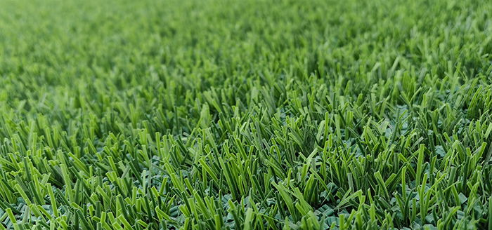 成都fifa认证足球场,国内第一个fifa认证球场