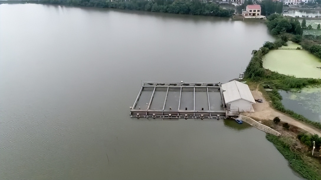 小伙养鱼一周赚100万,养鱼致富第二天目标赚十万