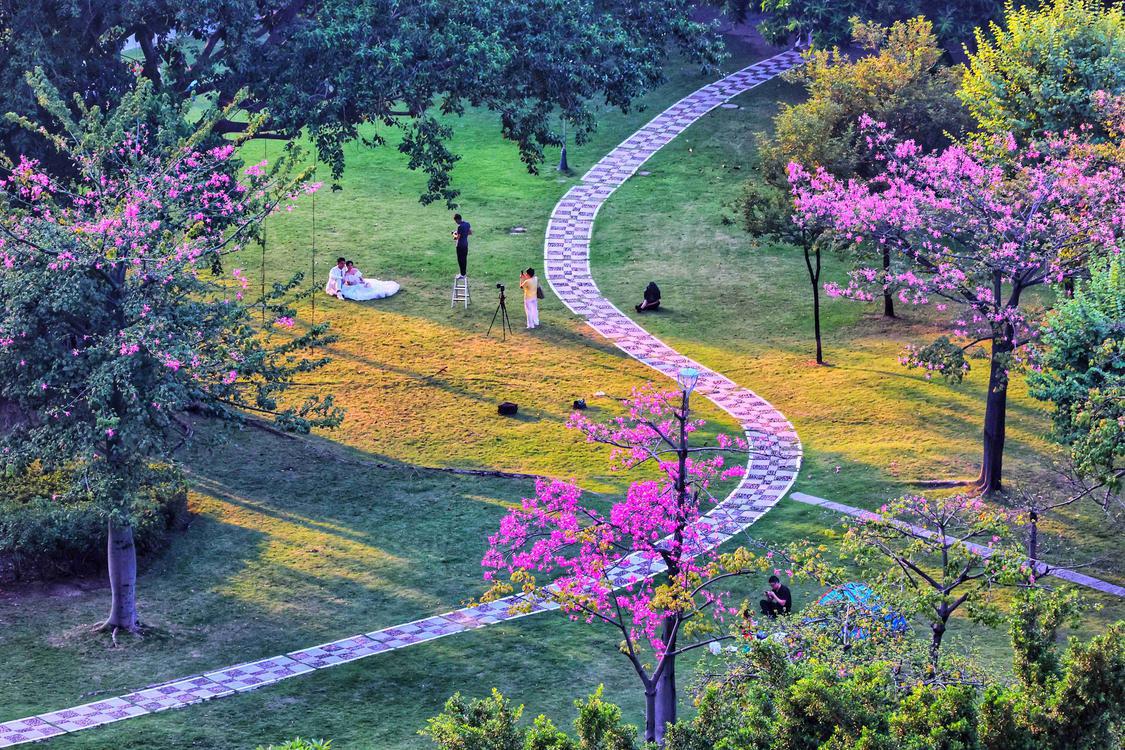 他用镜头记录旅行,他用镜头记录下了一路以来的成长