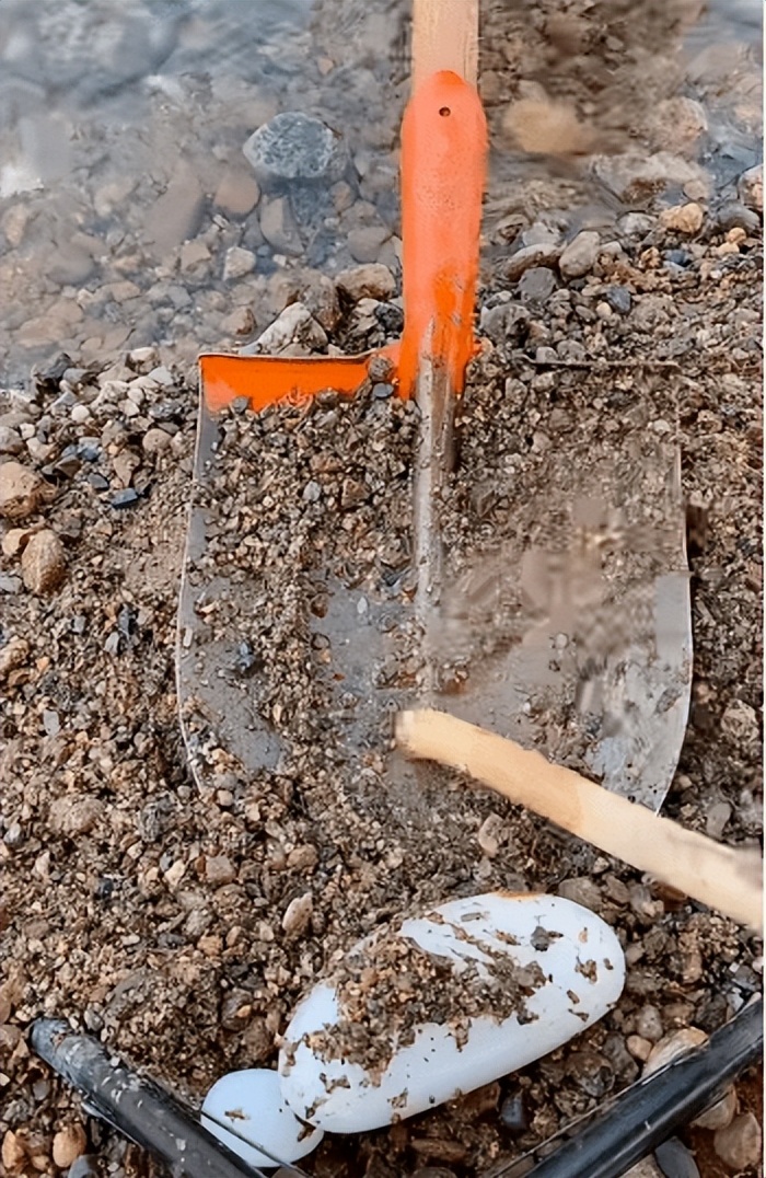 铁锹挖和田玉直播户外,铁锹铲玉石直播