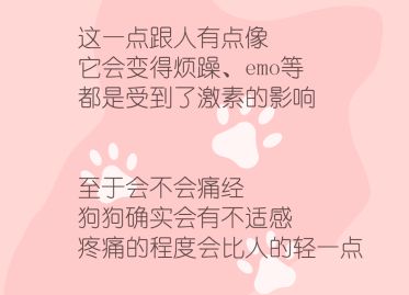 母狗也会来月经吗,狗也会来大姨妈吗