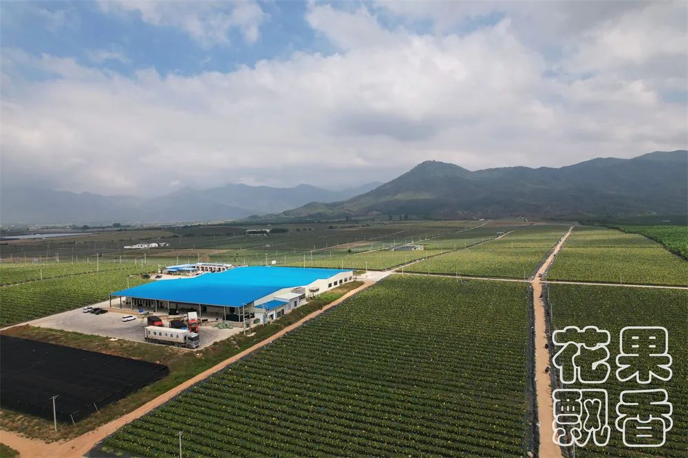 农业项目每亩净收益,农业养殖类项目有没有扶持政策