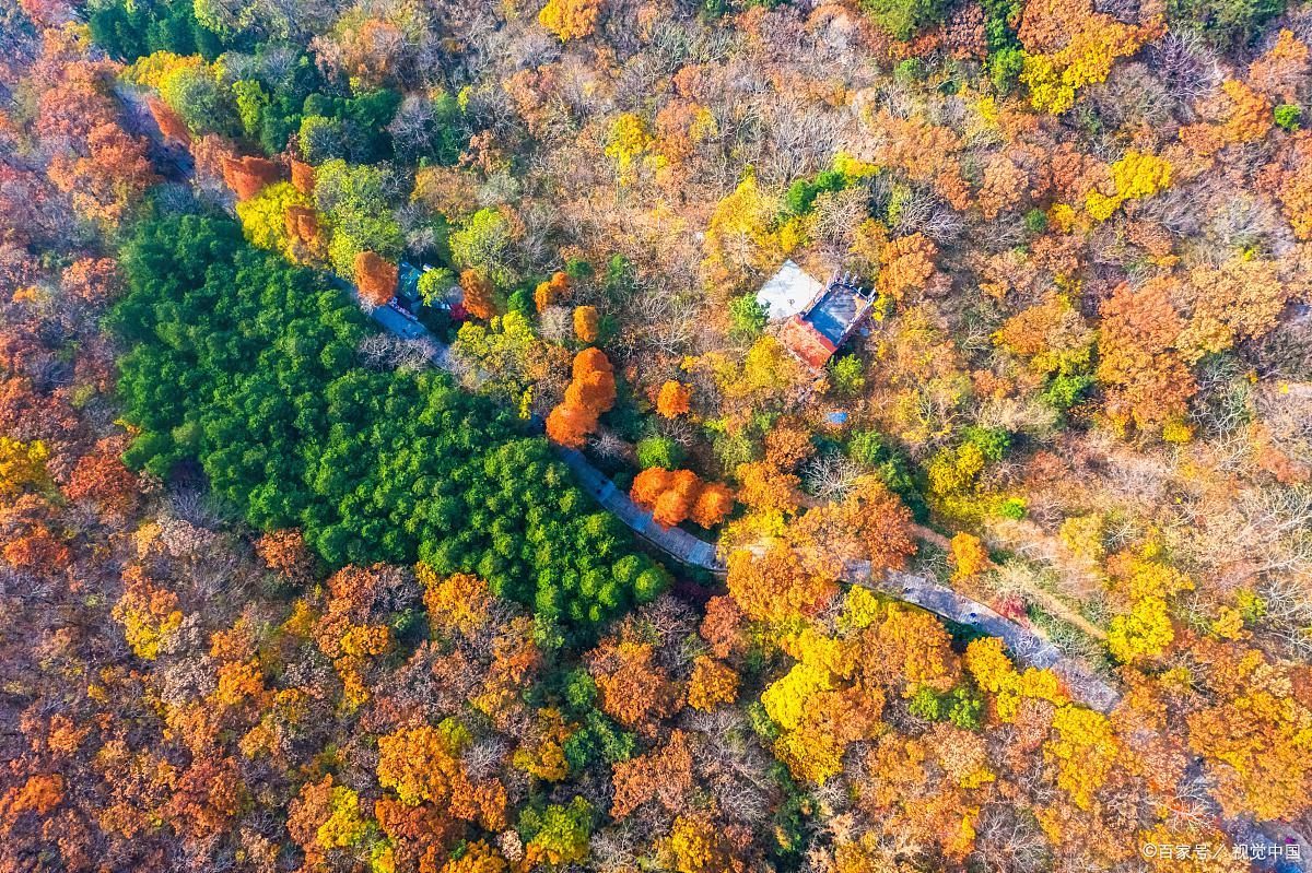 吐槽青岛坑人景区,被游客吐槽的景点其实应该这样玩