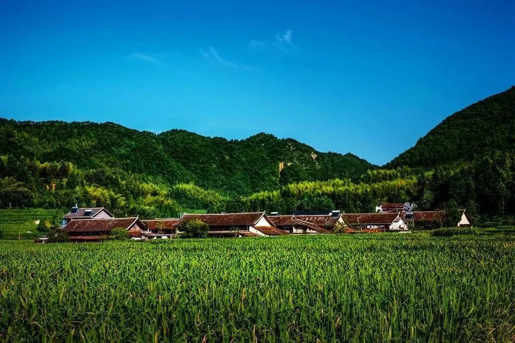 山系生活,高端玩家的夏天是25℃!