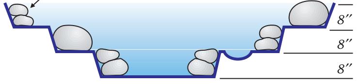 生态缸为啥不长藻不出绿水,生态缸为什么养不活虾