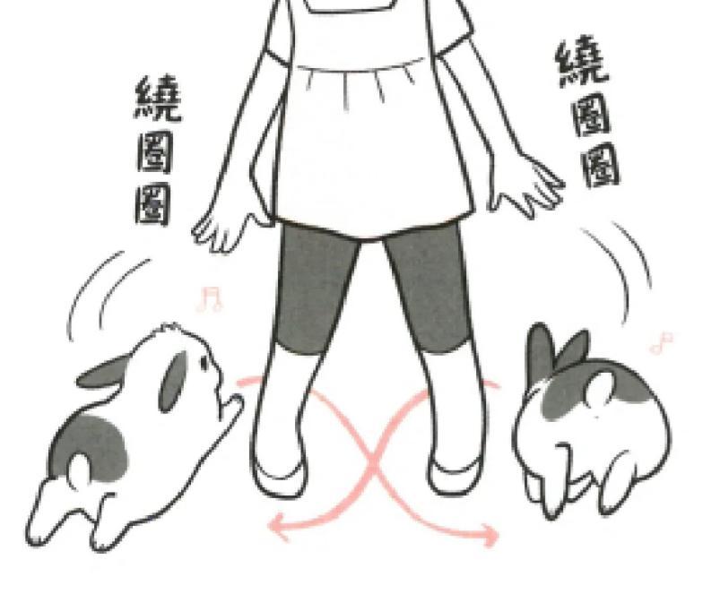 养兔必读的100个动作,两个月大的兔兔要注意什么