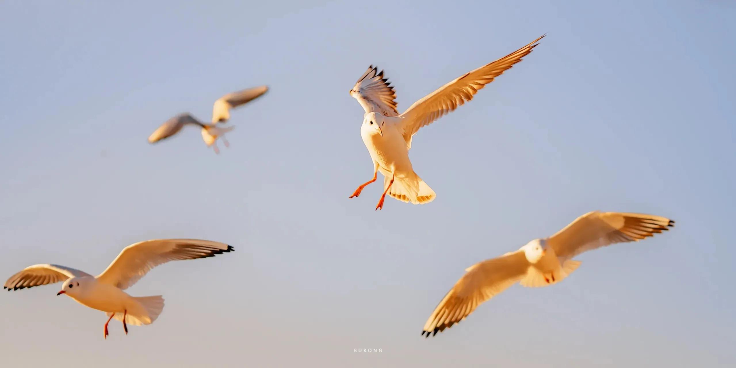 领导要走了离别的诗句,辞职时写给领导的诗句