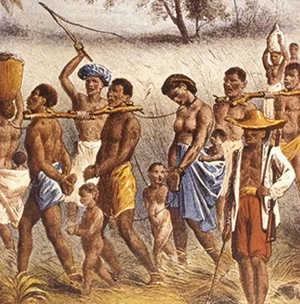 18世纪奴隶贸易最严重的原因,奴隶贸易的原因和影响