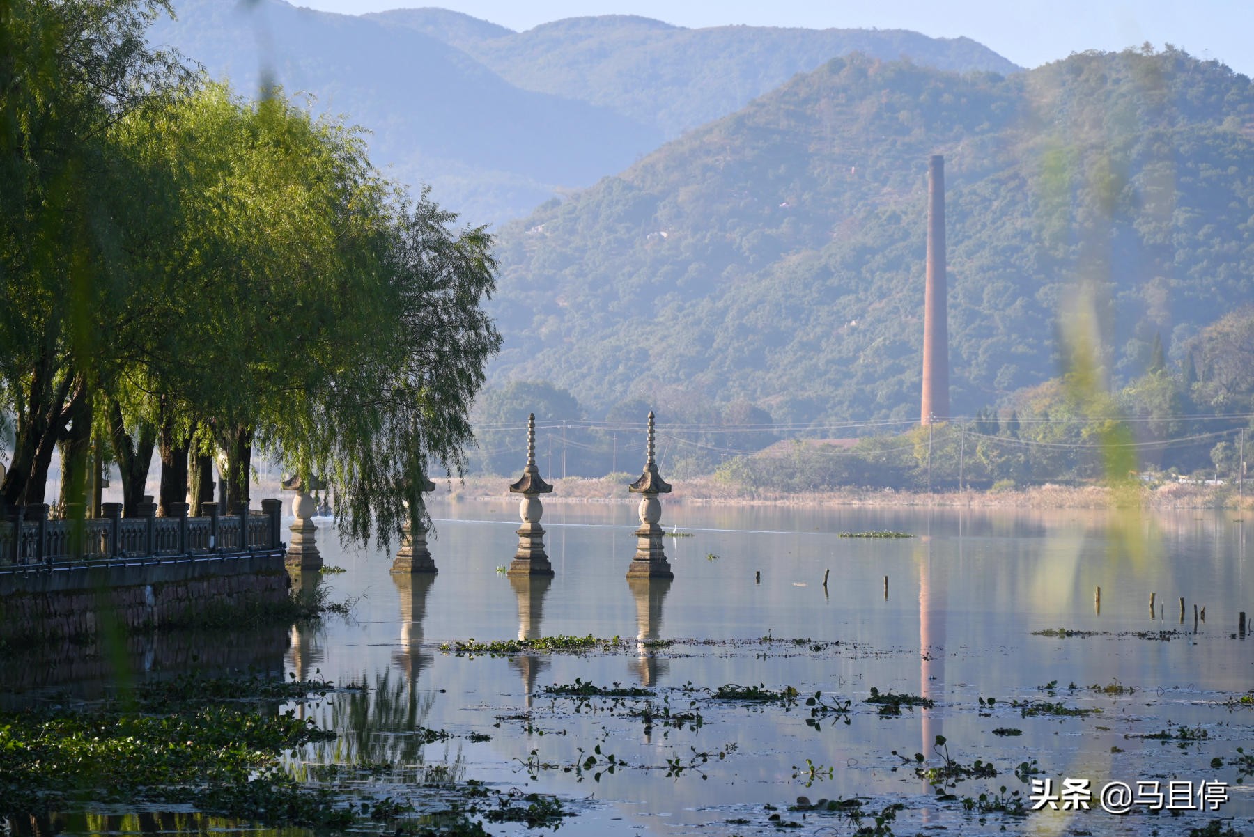 浙江慈溪鸣鹤古镇周边景点介绍,浙江鸣鹤古镇和鹤鸣古镇哪个好玩