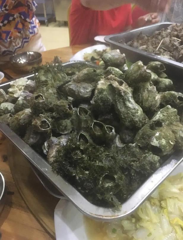 在浙江吃藤壶，还以为吞了个鬼手