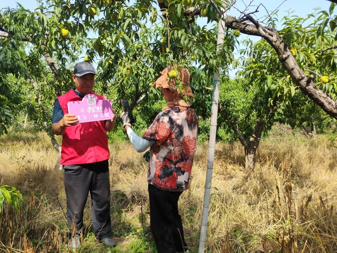 【“学习强国”在兰山】半程镇团埠子村：从“指尖”到“身边”“学习强国”进田间