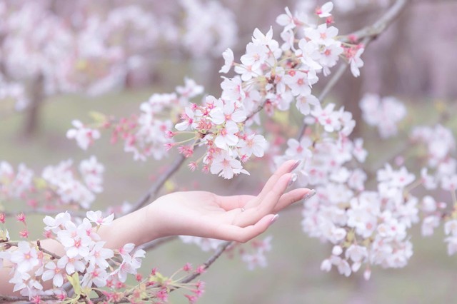 顶级的销售需要学会什么技能,成为优秀销售的必经之路