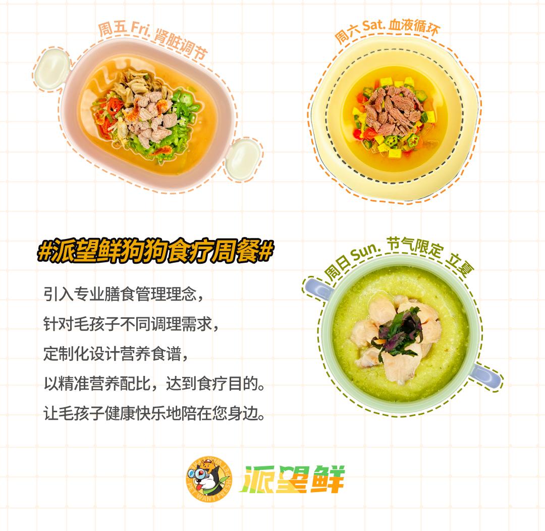 各单位注意！6.9-6.11「萌力全开！宠物文化市集」各摊主已就位！快来Pick你最中意的他