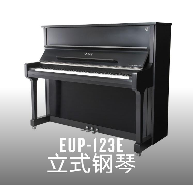 施坦威埃塞克斯116e,施坦威埃塞克斯钢琴