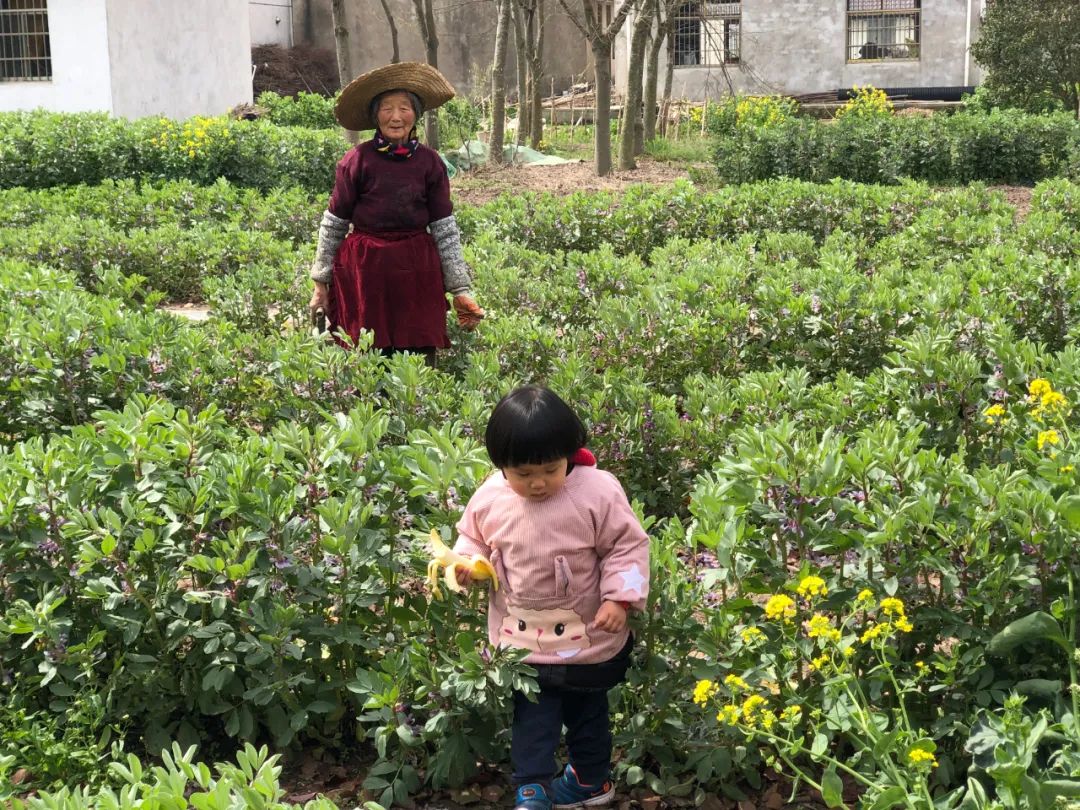 疫情防控下gmp建筑师的居家日志（上海篇）