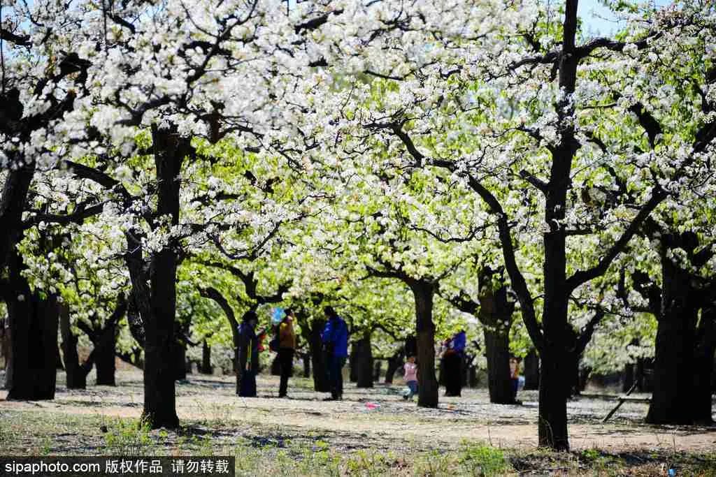 不负春光解锁春日美景打卡点,不负春光解锁春日美景攻略