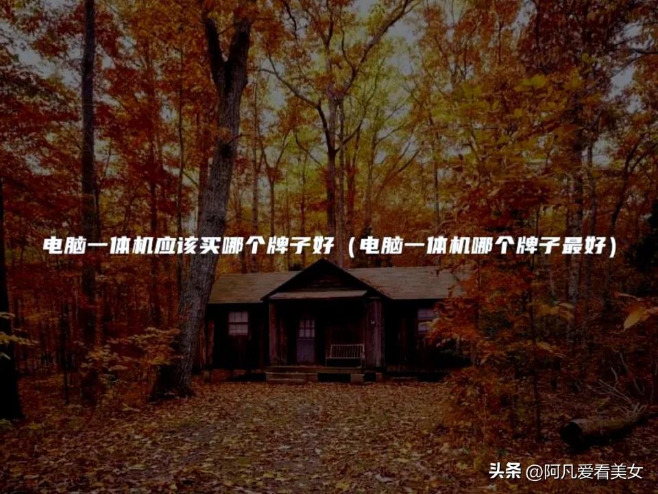 电脑一体机什么牌子最好,电脑一体机什么牌子的最好