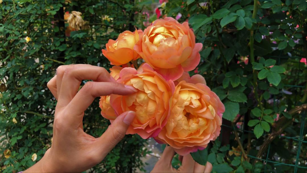 人生本该美好,人生本来就是精彩