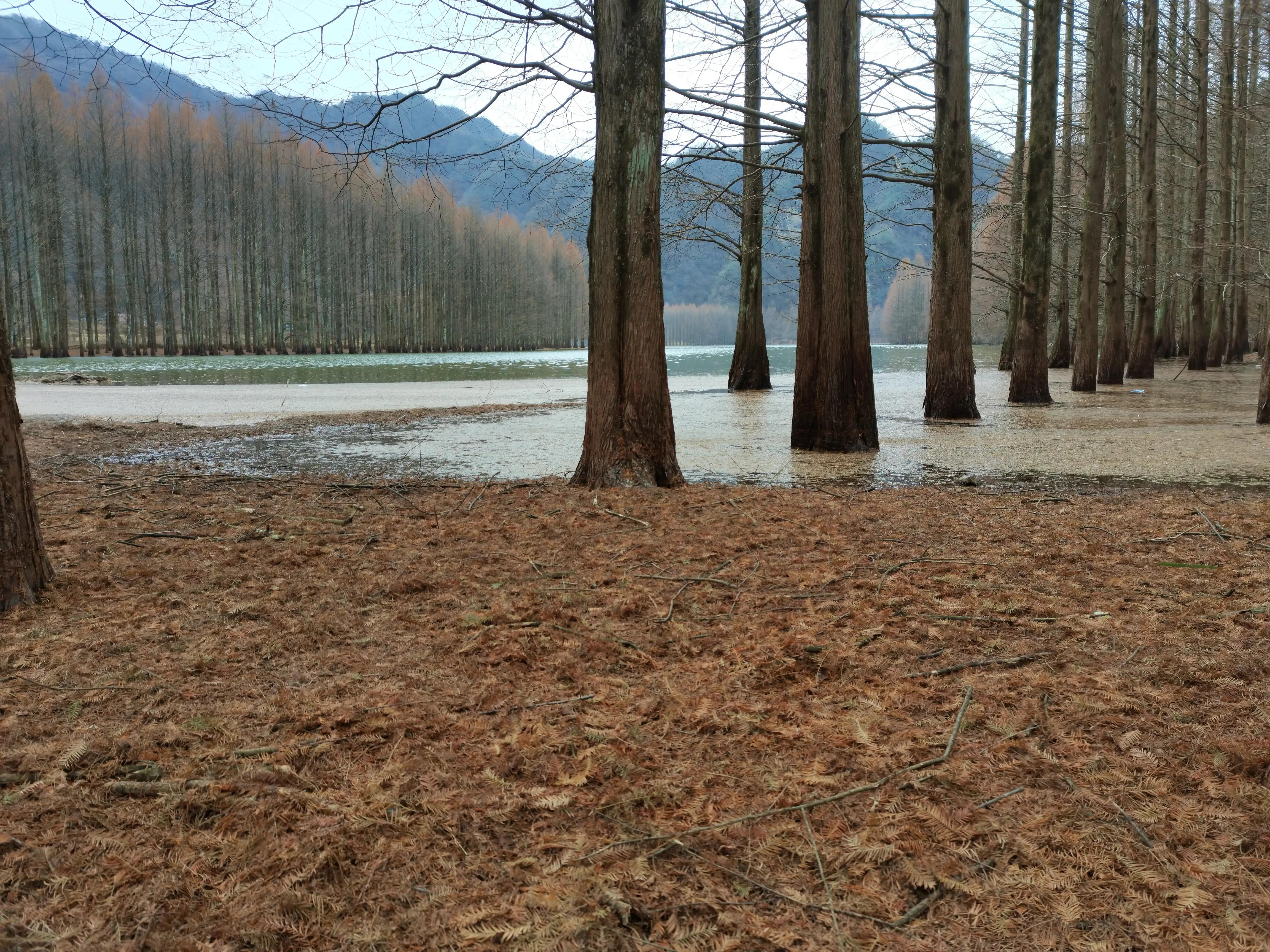 冬日里的汉中美景,南郑龙池秋色视频