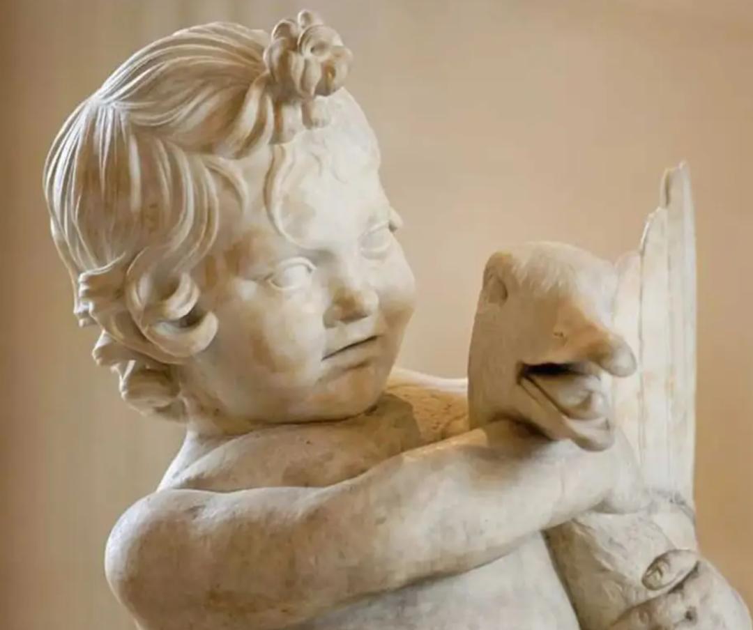 大鹅和平头哥,平头哥最新比赛谁赢了