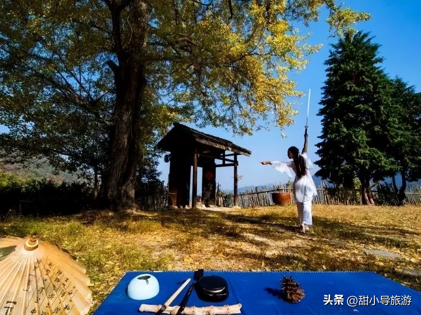 千年老银杏树下,千年银杏树之下