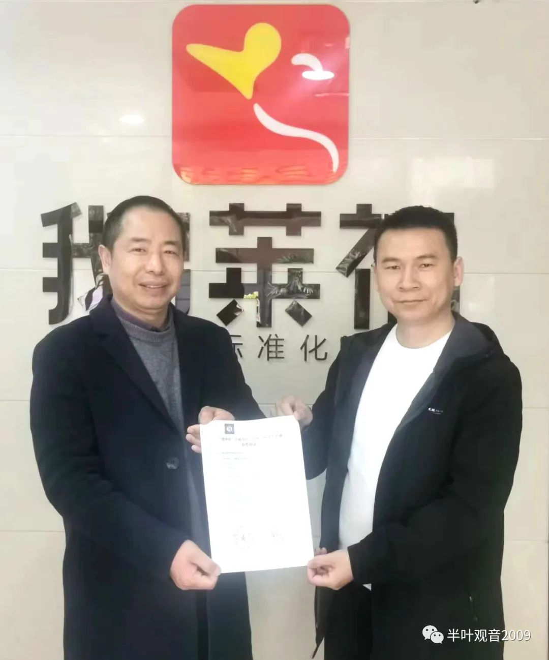 半叶观音可靠吗,半叶观音安溪铁观音