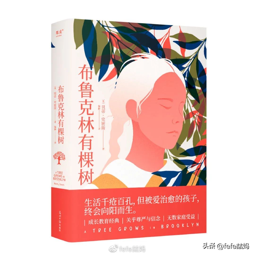 阅读为孩子打开世界的大门,以孩子视角看世界的书籍