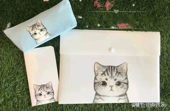 去美国生活行李打包攻略,美国必买行李清单