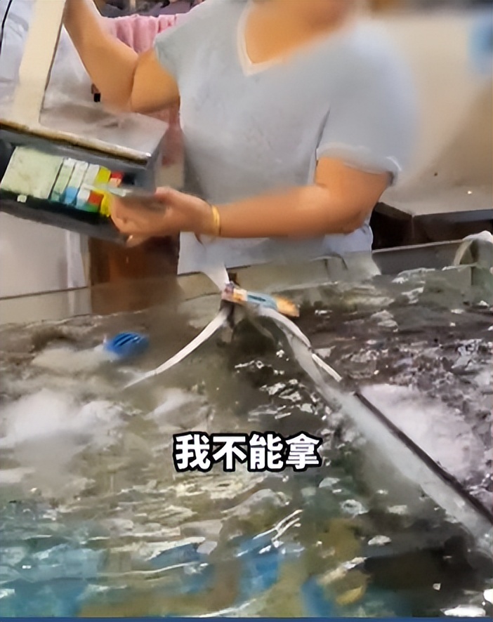 一个人干翻三亚海鲜所有商户，怕被人砍，男子买了200万意外险！