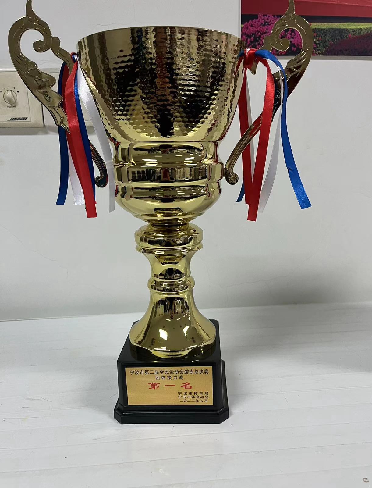 宁波市运动会北仑区代表队,宁波市第二届全民运动会象山