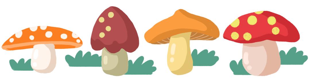 预防野生菌野果中毒,如何安全食用野生菌