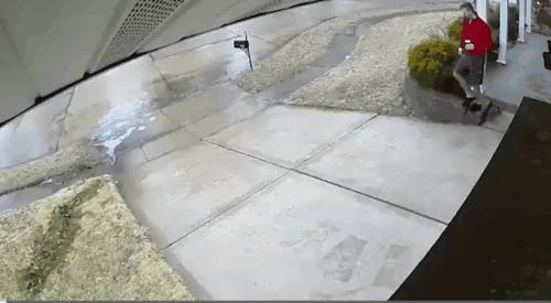 这衣服怎么穿内衣呀?不穿内衣怎么挺起来啊?