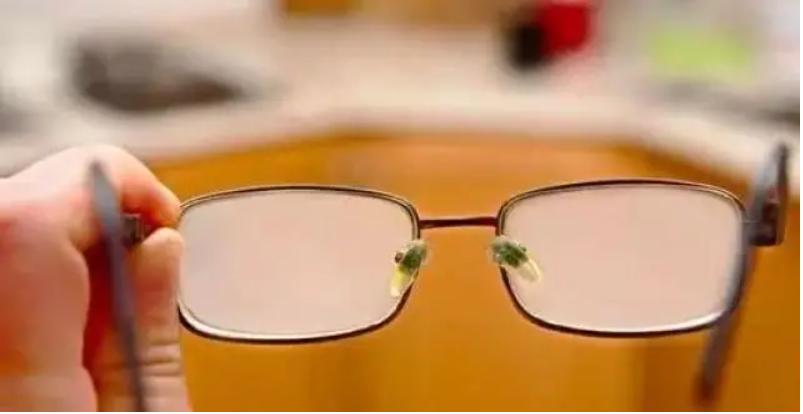 鲜花在水里能养几天会死,新加坡盆栽花卉怎么养