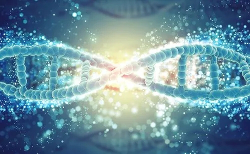 石榴中维生素c的含量高吗,石榴中维生素c含量