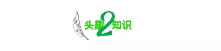 女生花5000买包,女子花八千买包发朋友圈