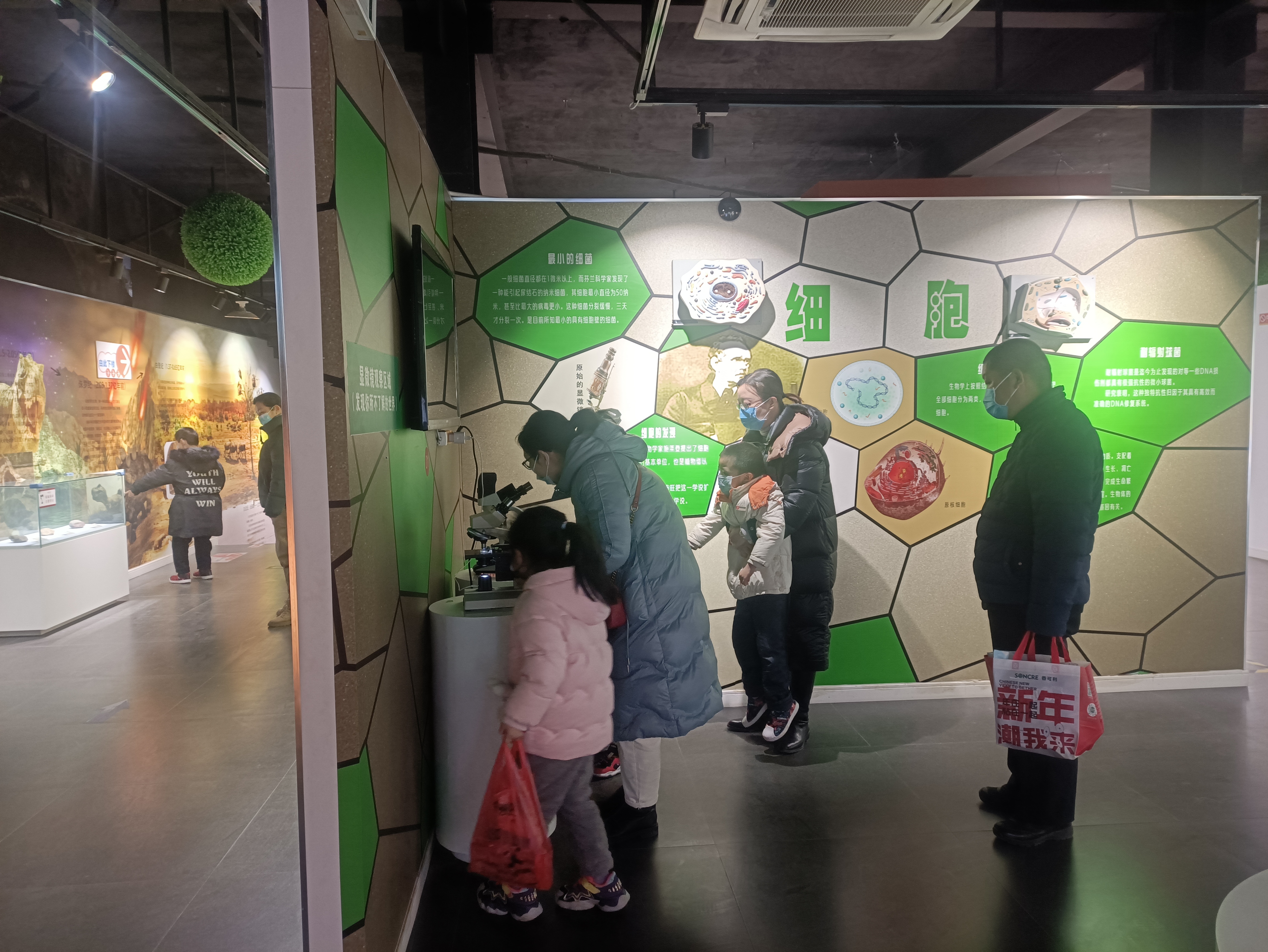 不负*光春**，来郑州人体科学院探寻生命进化证据