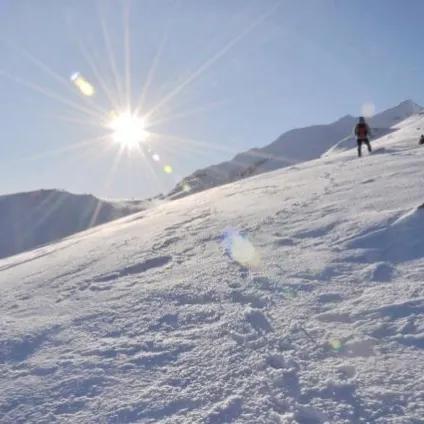 我投了简历为什么老是不面试,为什么投了那么多简历却没有面试