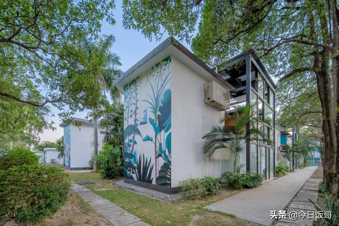 深圳清明旅游海边推荐哪里,深圳清明海边旅游攻略