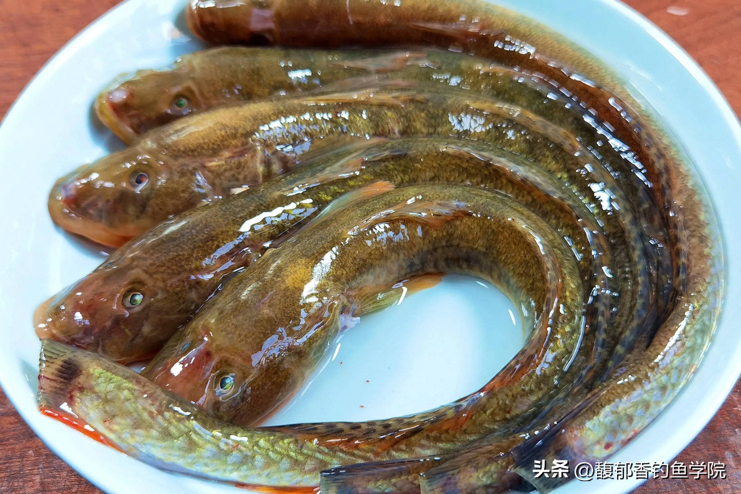 立秋以后的鱼应该怎么钓,冬季海钓推荐什么鱼种好