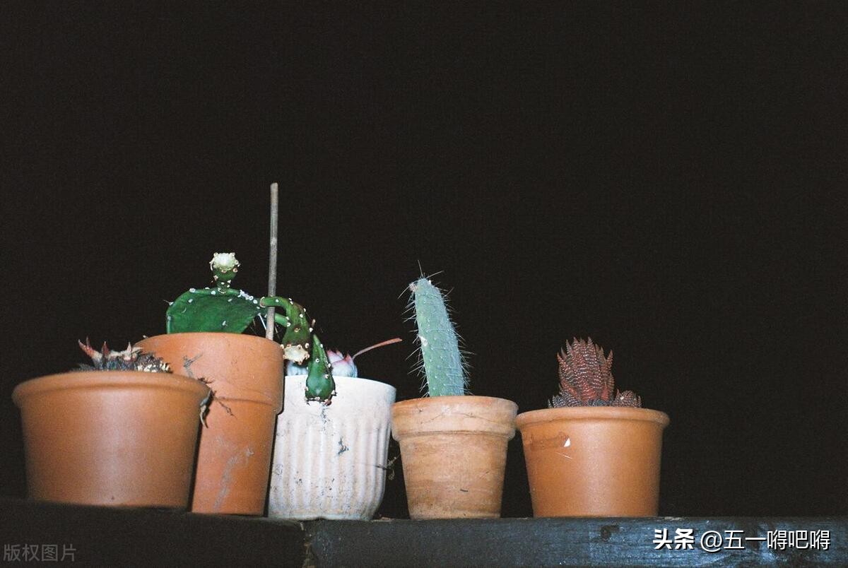 为什么年龄越大对新事物越抗拒,为什么越长大越难有心动的感觉