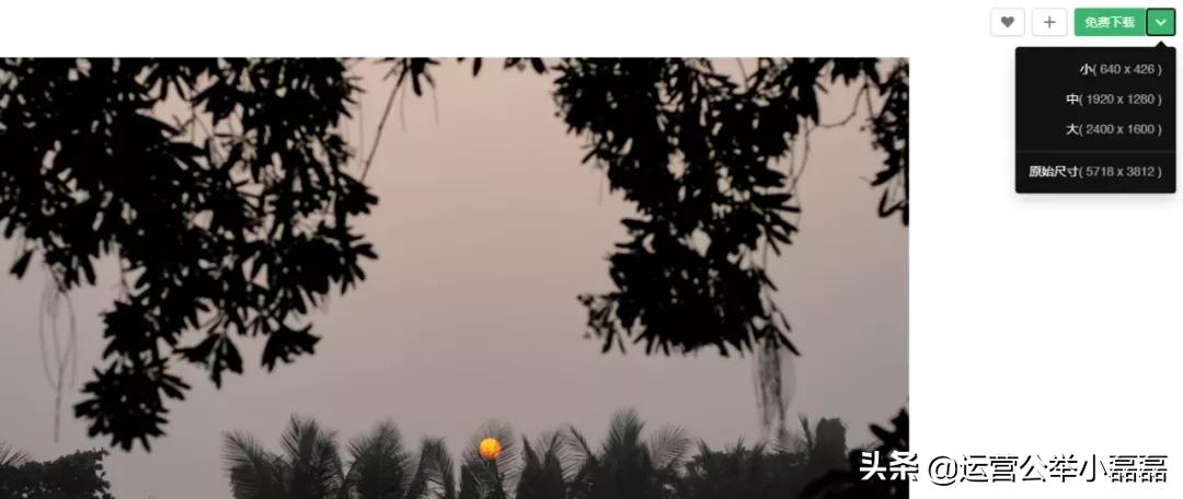 免费图片图库大全,免费图库素材网站