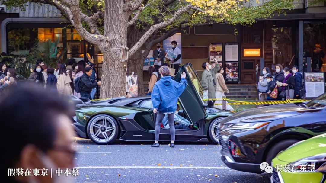 365张照片回顾,365张相片