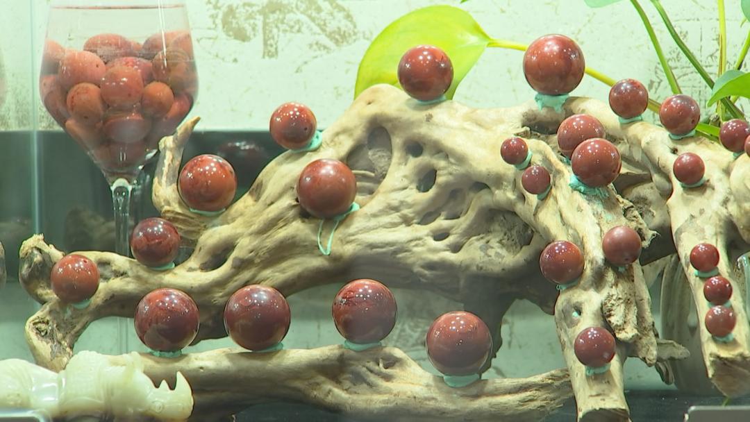 西昌旅游吃住攻略大全最新,11月西昌旅游必备物品