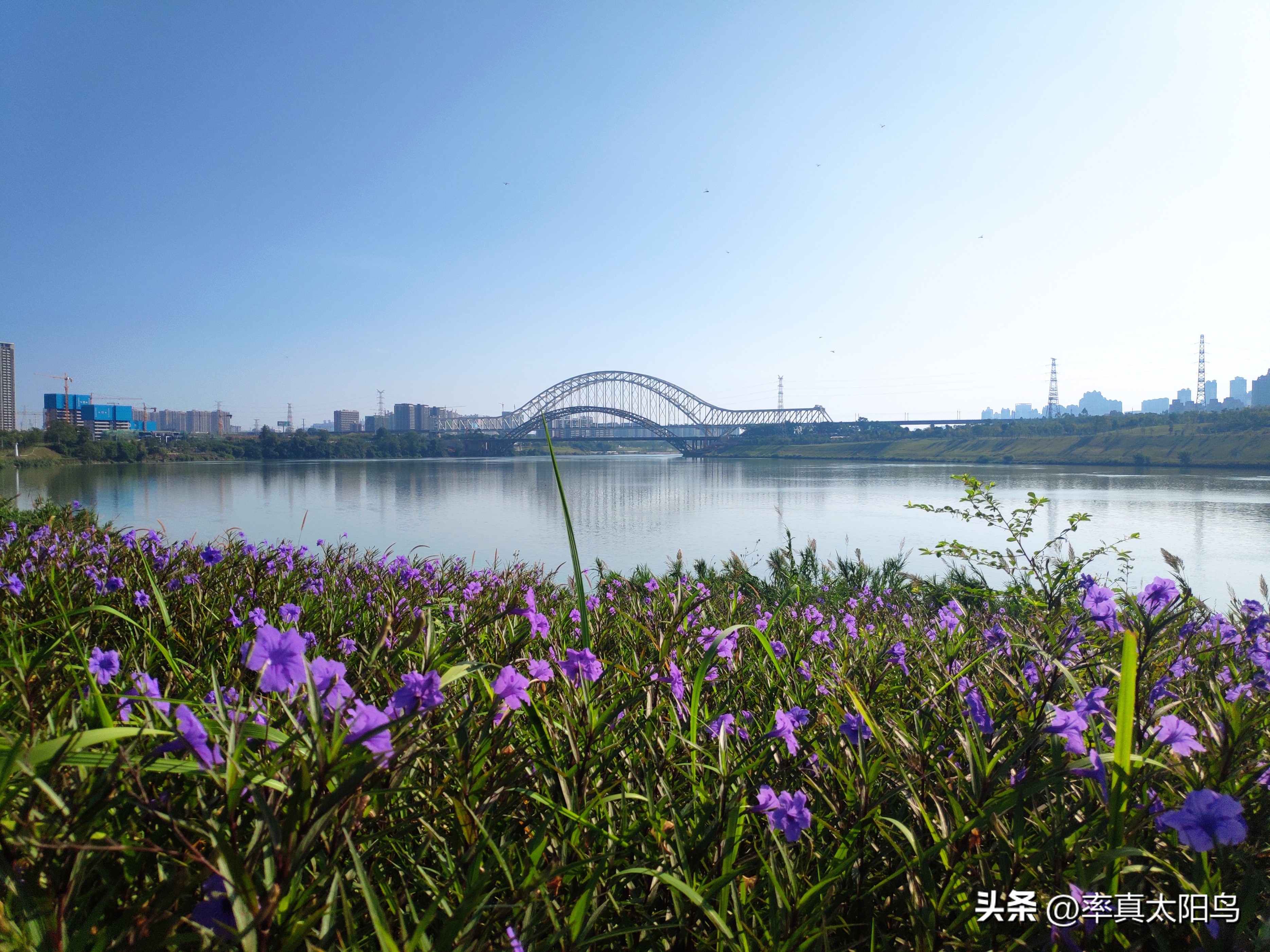 秋水之韵文章,秋水之韵抖音