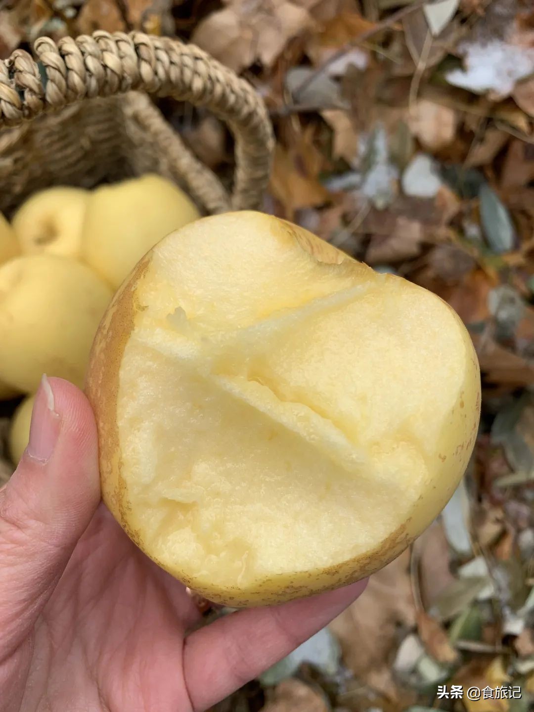 断货王！出口级威海金苹果，今日半价就能买1箱