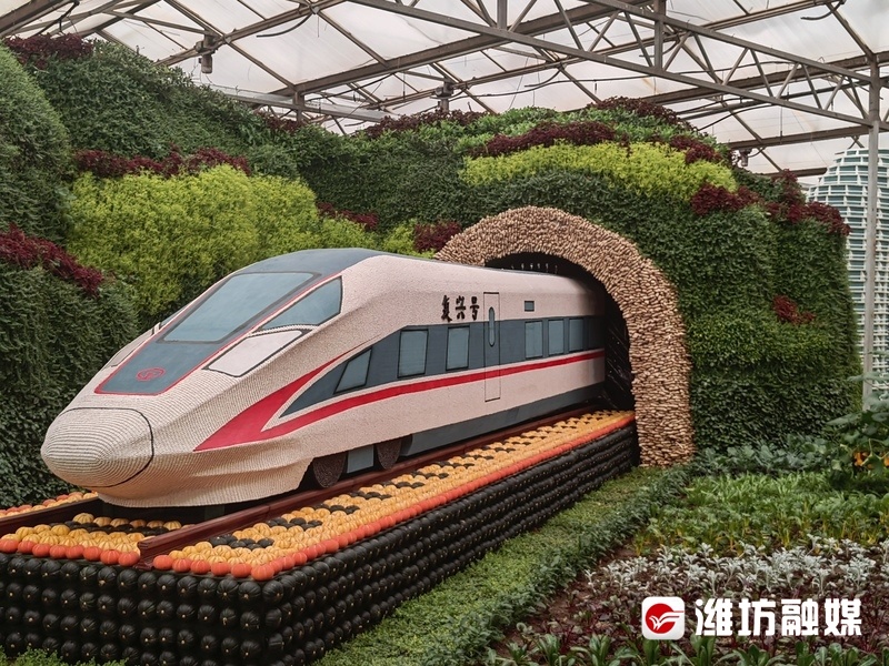 潍观|让“更好潍坊”气象万千——潍坊农业交出高分答卷