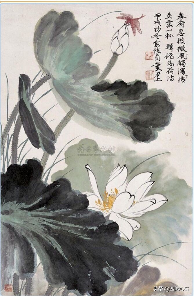 接天莲叶无穷碧映日荷花图片大全,莲叶无穷碧映日荷花别样红三幅图