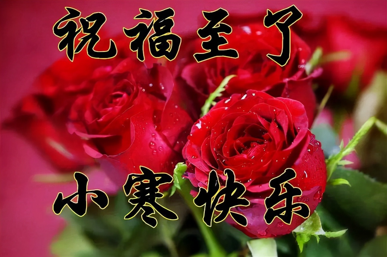 经典大寒小寒问候祝福语,小寒节气短信暖心祝福语