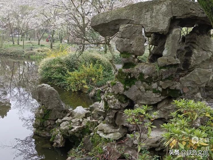 苏州游记之拙政园,苏州拙政园一日游攻略图片